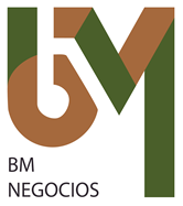 BM Negocios